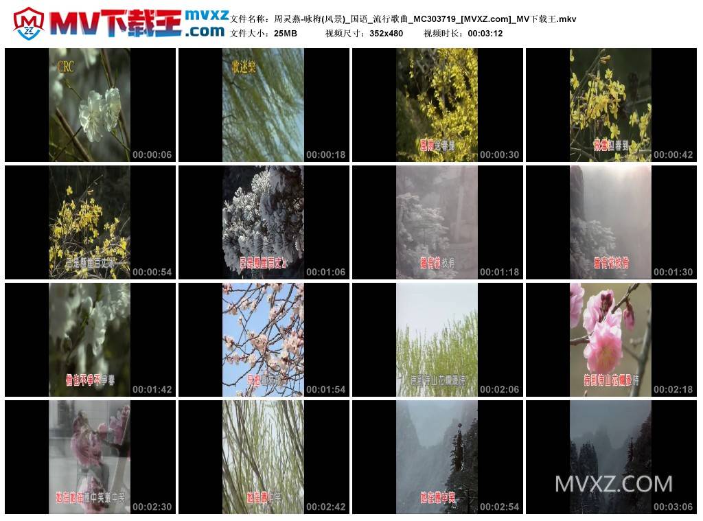 周灵燕-咏梅(风景)_国语_流行歌曲_MC303719